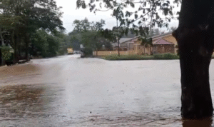 Tonra Libureng Dikepung Banjir, Petani Khawatir Gagal Panen