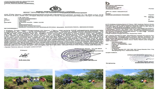 850 Pohon Sawit Dirusak, Tersangka Sudah Ada tapi Tak Ditahan