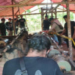 ambang Emas Ilegal di Gowa Disikat Polisi, Alat dan Tenda Ditelantarkan