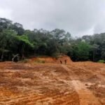 Aparat Diduga Abai, Konsorsium Aktivis Siap Bongkar Jaringan Mafia Hutan di Gowa