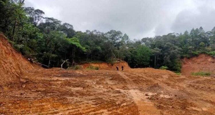 Aparat Diduga Abai, Konsorsium Aktivis Siap Bongkar Jaringan Mafia Hutan di Gowa