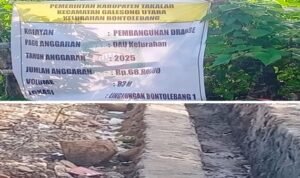 DAU Kelurahan Turun, Drainase Bontolebang Ikut Turun Mutunya?