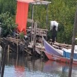 Mangrove Ludes, Negara Absen? Perusakan Pesisir Terjadi Terang-terangan di Takalar