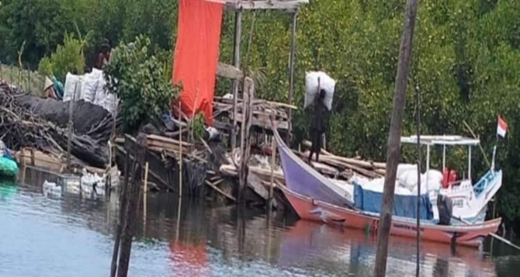 Mangrove Ludes, Negara Absen? Perusakan Pesisir Terjadi Terang-terangan di Takalar