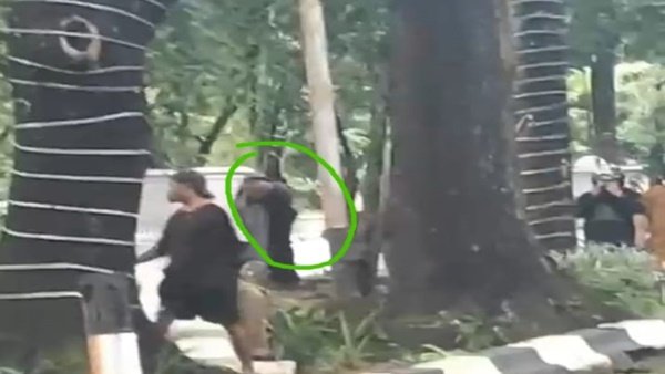 Demo DOB Luwu Tengah Berujung Bentrokan, Oknum Diduga ASN Terekam Bawa Senjata