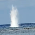 Laut Tanakeke Jadi Sasaran Ledakan, Siapa Lindungi Nelayan Legal?