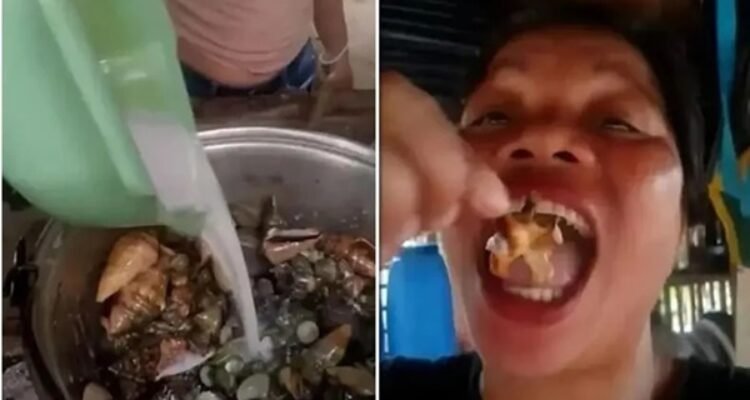 Demi Sensasi Kuliner, Influencer Filipina Tumbang Usai Santap Krustasea Beracun