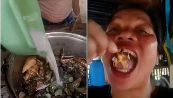 Demi Sensasi Kuliner, Influencer Filipina Tumbang Usai Santap Krustasea Beracun