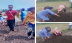 Tak Diurus Bertahun-tahun, Warga Siap ‘Kubur’ Jalan dengan Pisang dan Jagung