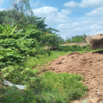 Sawah Produktif Diduga Ditimbun, Warga Gowa Pertanyakan Izin dan Dalang Aktivitas