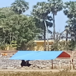 Bukan Cuma Lokasi Penimbunan, Asal Material di Pandanga Diminta Ditelusuri