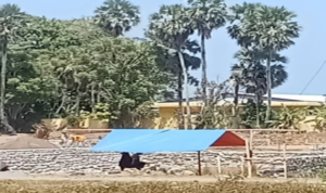 Bukan Cuma Lokasi Penimbunan, Asal Material di Pandanga Diminta Ditelusuri