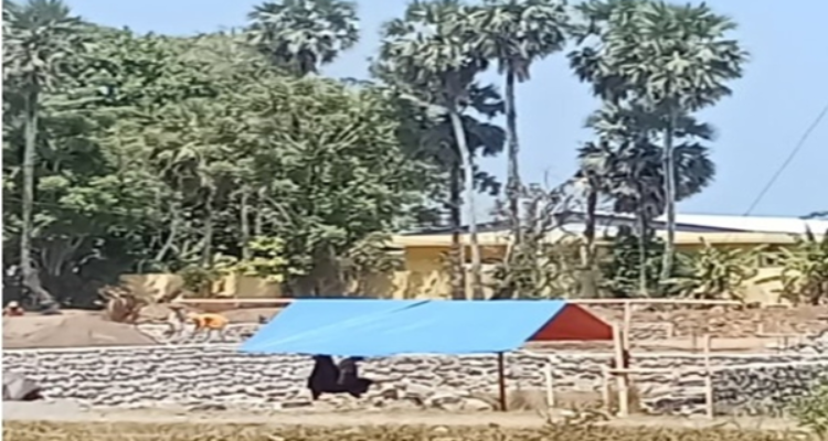Bukan Cuma Lokasi Penimbunan, Asal Material di Pandanga Diminta Ditelusuri