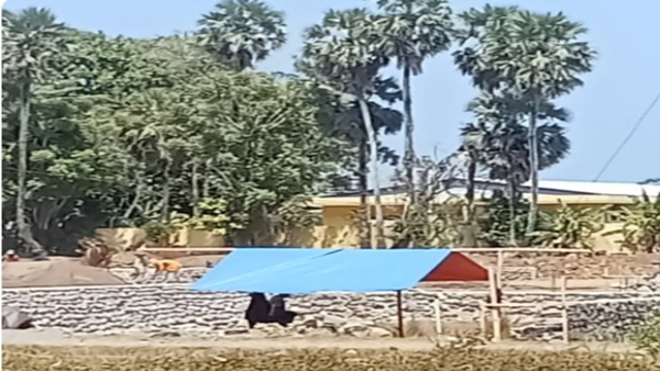 Bukan Cuma Lokasi Penimbunan, Asal Material di Pandanga Diminta Ditelusuri